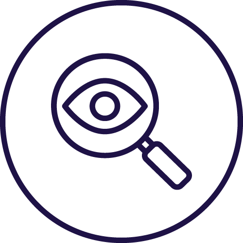 An icon of a magnifying glass 