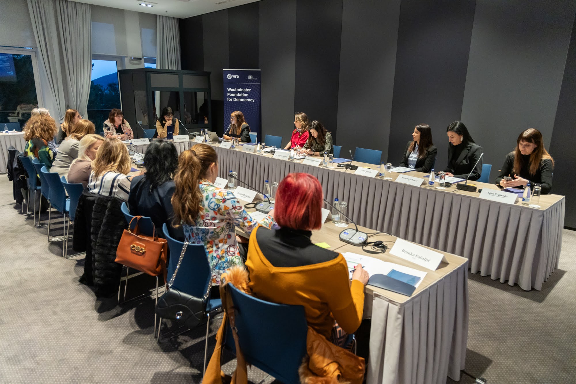 WFD Montenegro creates a network to address violence against women in politics 